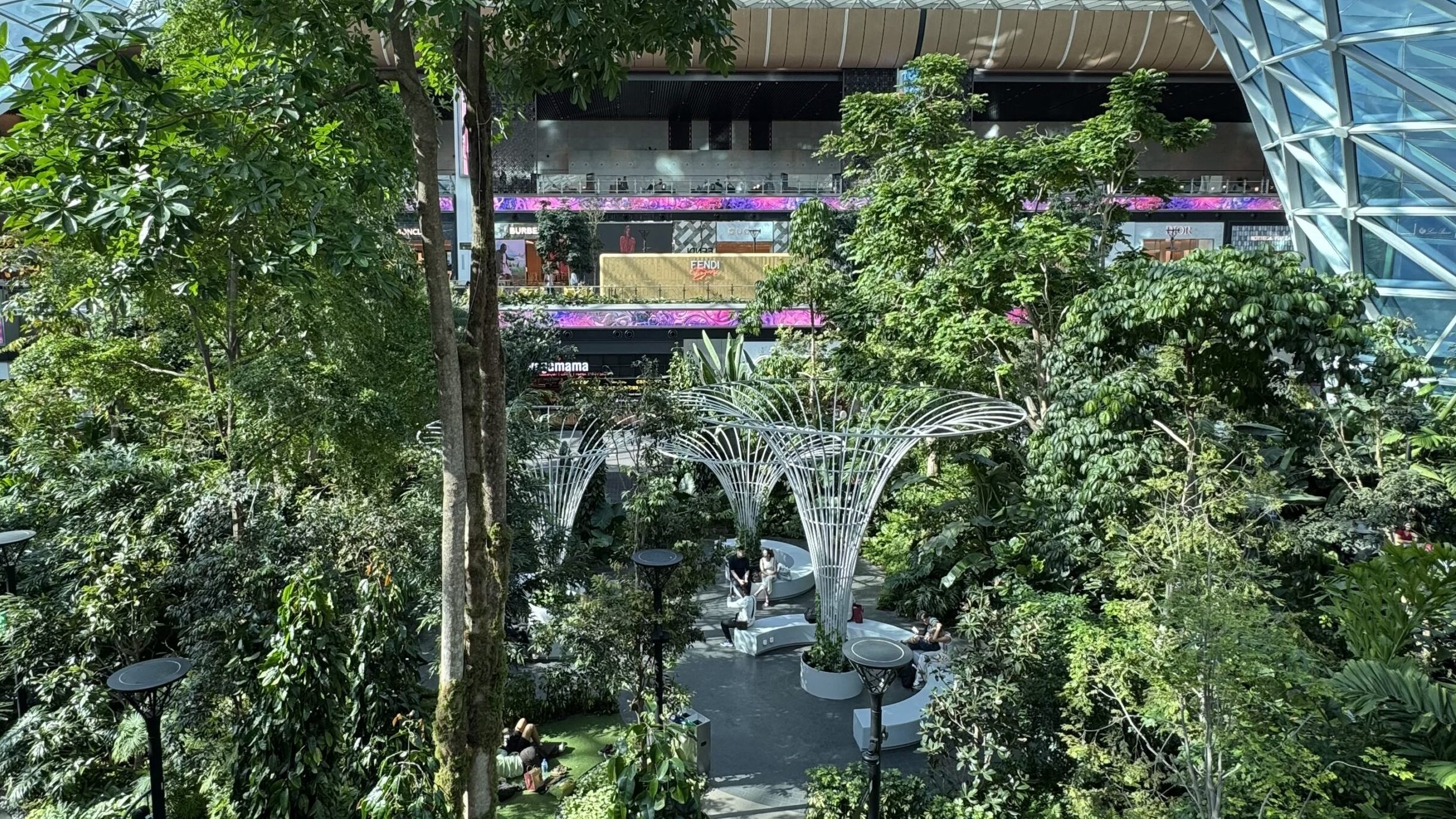 ハマド国際空港オルチャード